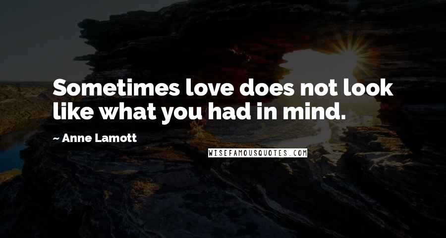 Anne Lamott Quotes: Sometimes love does not look like what you had in mind.