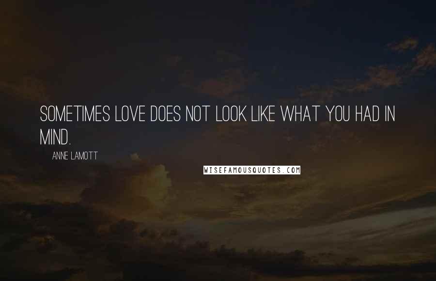 Anne Lamott Quotes: Sometimes love does not look like what you had in mind.