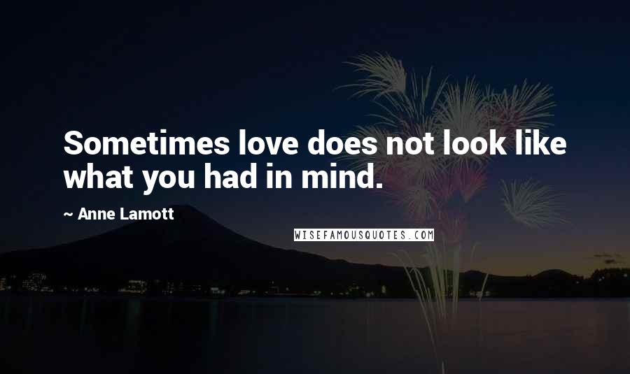 Anne Lamott Quotes: Sometimes love does not look like what you had in mind.