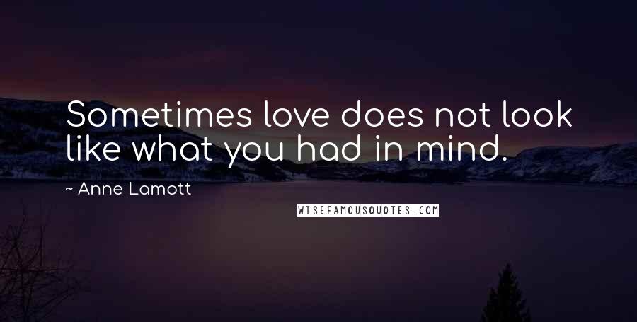 Anne Lamott Quotes: Sometimes love does not look like what you had in mind.