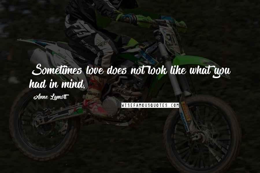 Anne Lamott Quotes: Sometimes love does not look like what you had in mind.