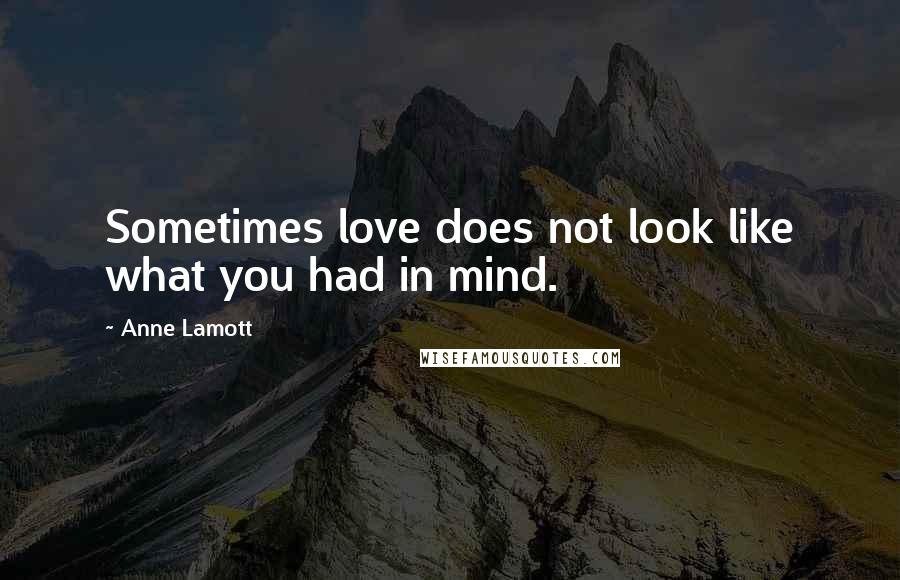 Anne Lamott Quotes: Sometimes love does not look like what you had in mind.