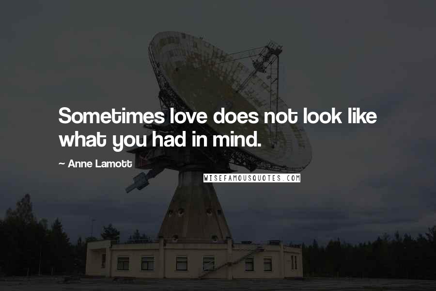 Anne Lamott Quotes: Sometimes love does not look like what you had in mind.
