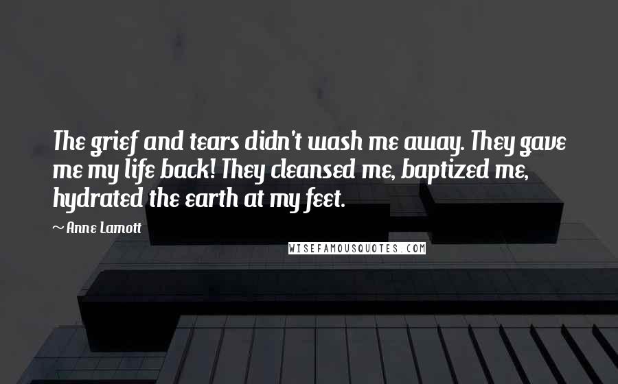 Anne Lamott Quotes: The grief and tears didn't wash me away. They gave me my life back! They cleansed me, baptized me, hydrated the earth at my feet.