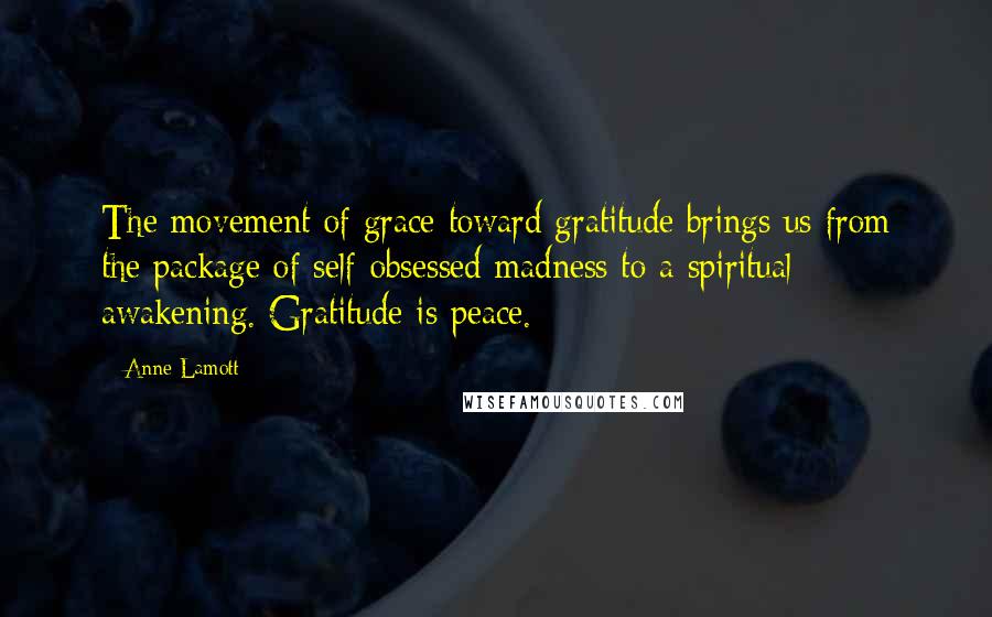 Anne Lamott Quotes: The movement of grace toward gratitude brings us from the package of self-obsessed madness to a spiritual awakening. Gratitude is peace.