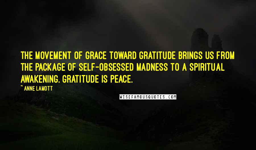 Anne Lamott Quotes: The movement of grace toward gratitude brings us from the package of self-obsessed madness to a spiritual awakening. Gratitude is peace.