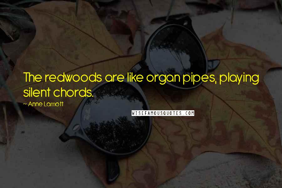 Anne Lamott Quotes: The redwoods are like organ pipes, playing silent chords.