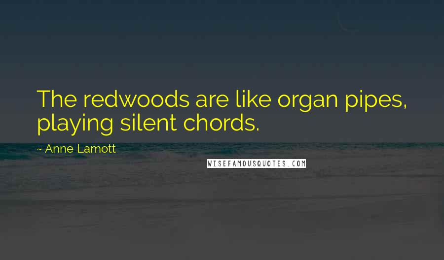 Anne Lamott Quotes: The redwoods are like organ pipes, playing silent chords.