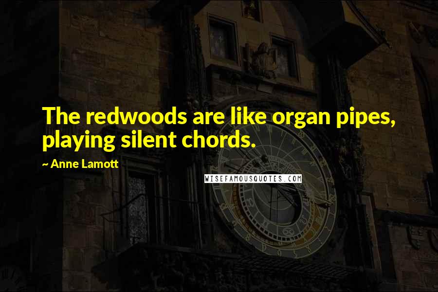 Anne Lamott Quotes: The redwoods are like organ pipes, playing silent chords.