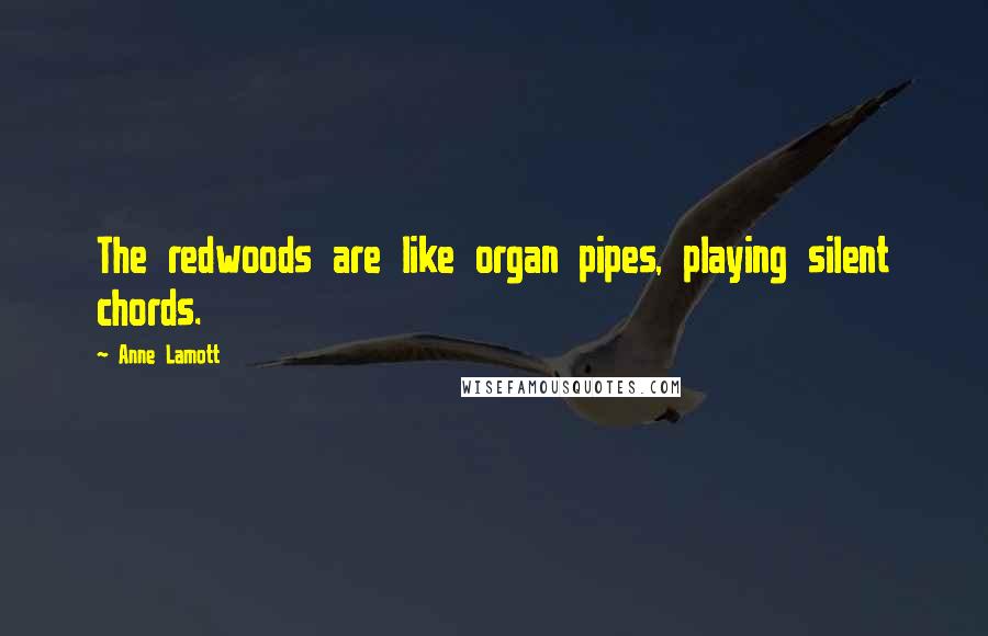 Anne Lamott Quotes: The redwoods are like organ pipes, playing silent chords.
