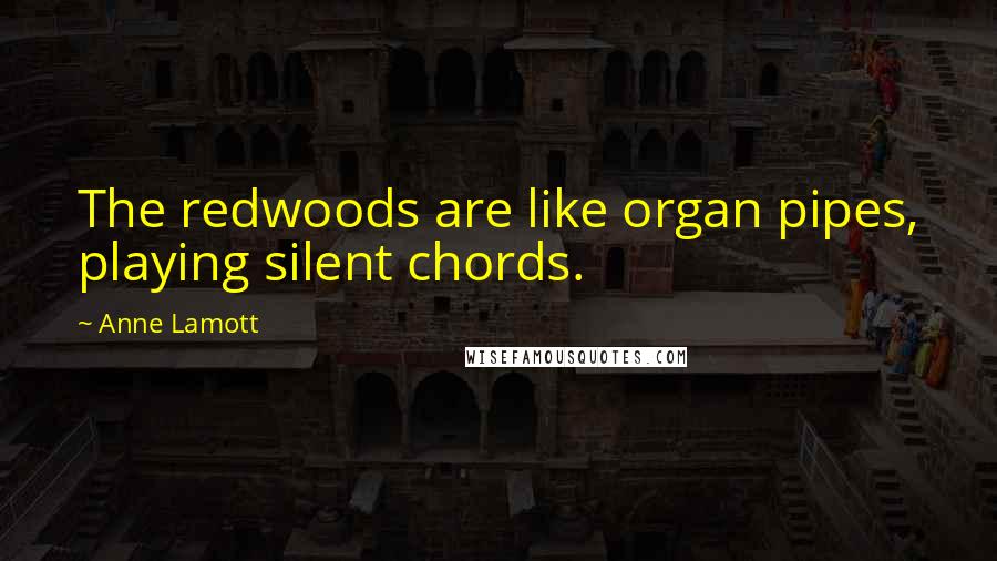 Anne Lamott Quotes: The redwoods are like organ pipes, playing silent chords.