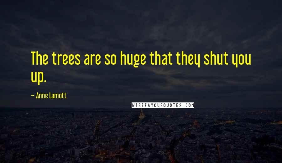 Anne Lamott Quotes: The trees are so huge that they shut you up.