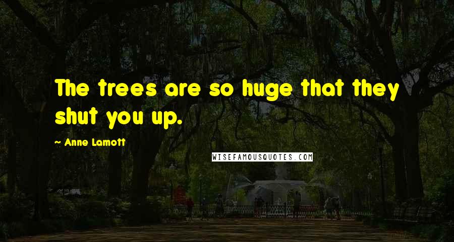 Anne Lamott Quotes: The trees are so huge that they shut you up.
