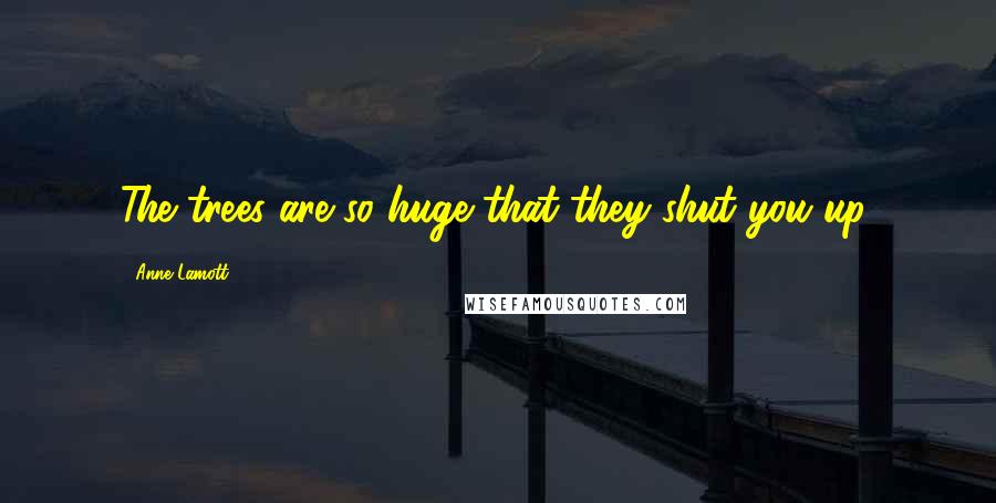 Anne Lamott Quotes: The trees are so huge that they shut you up.