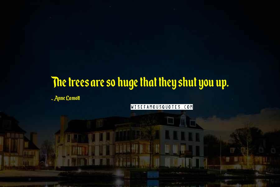 Anne Lamott Quotes: The trees are so huge that they shut you up.