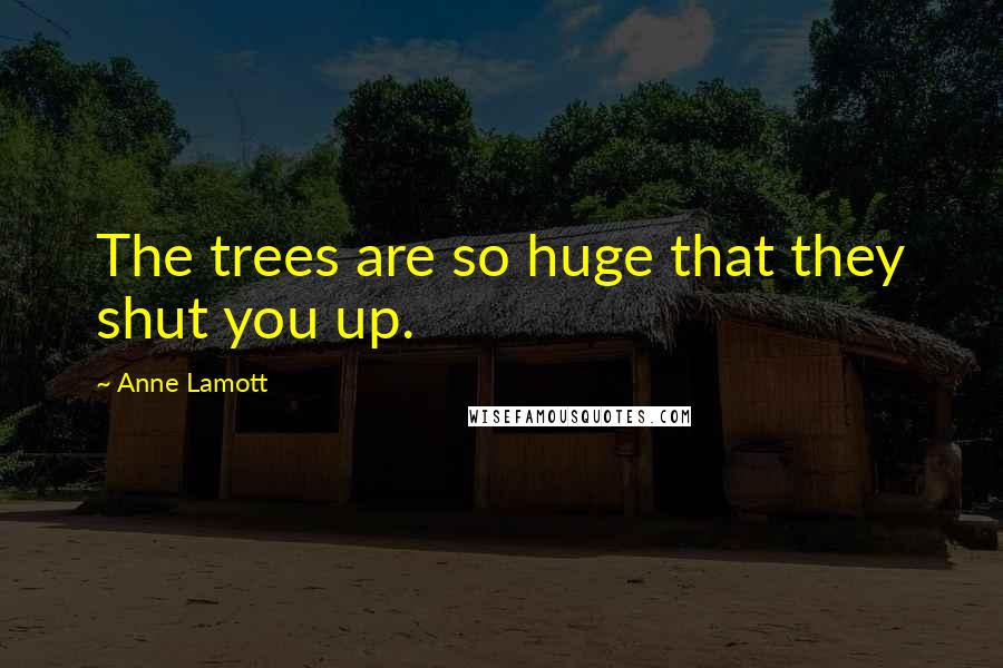 Anne Lamott Quotes: The trees are so huge that they shut you up.