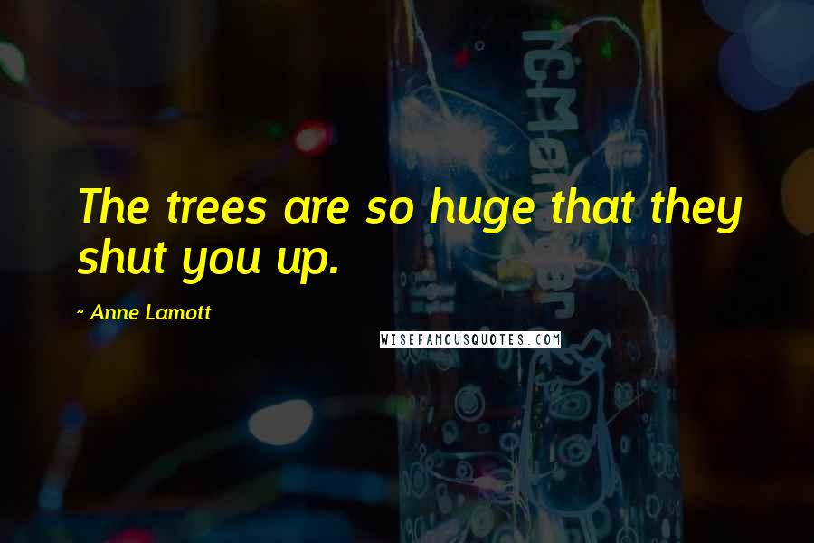 Anne Lamott Quotes: The trees are so huge that they shut you up.