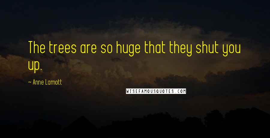 Anne Lamott Quotes: The trees are so huge that they shut you up.