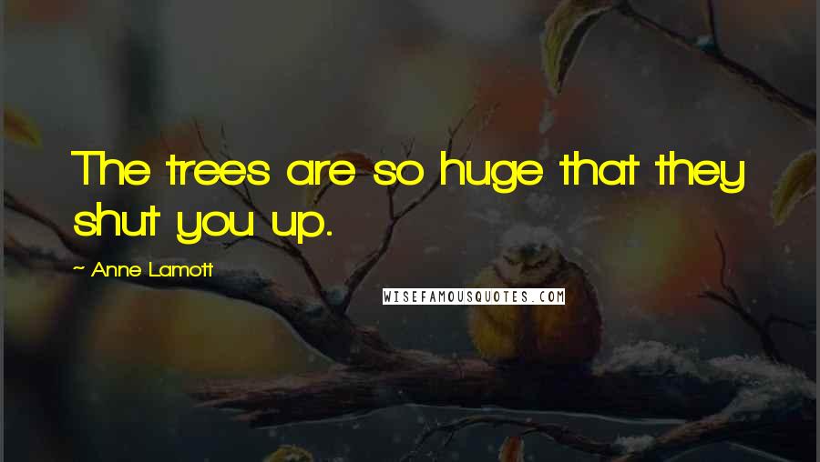 Anne Lamott Quotes: The trees are so huge that they shut you up.