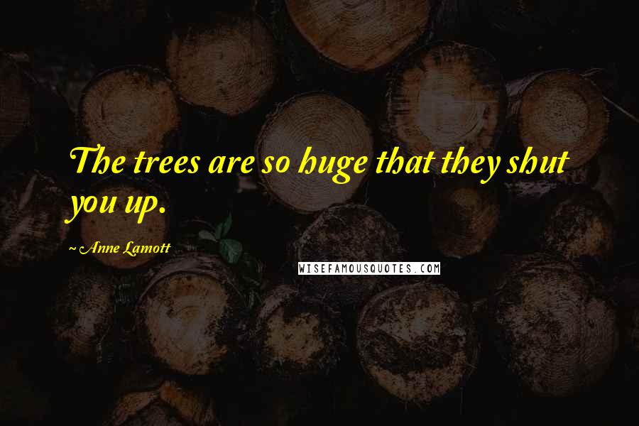 Anne Lamott Quotes: The trees are so huge that they shut you up.