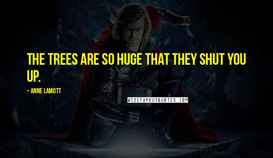 Anne Lamott Quotes: The trees are so huge that they shut you up.