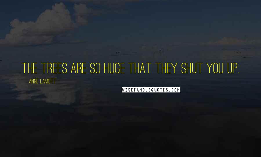 Anne Lamott Quotes: The trees are so huge that they shut you up.