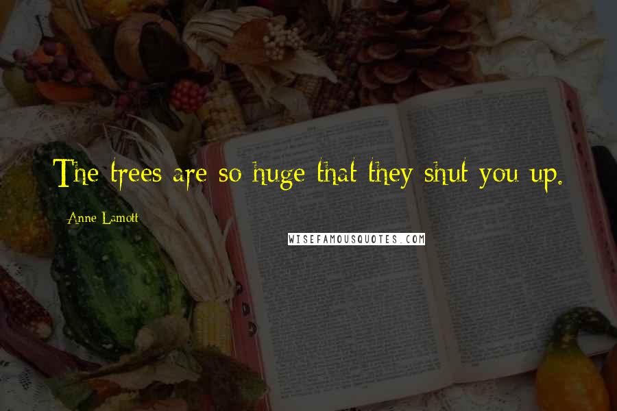Anne Lamott Quotes: The trees are so huge that they shut you up.