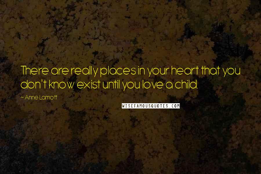 Anne Lamott Quotes: There are really places in your heart that you don't know exist until you love a child.