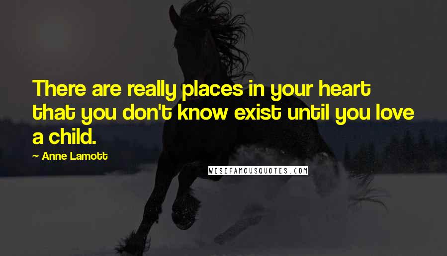 Anne Lamott Quotes: There are really places in your heart that you don't know exist until you love a child.