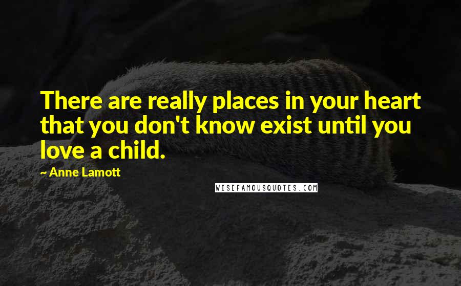 Anne Lamott Quotes: There are really places in your heart that you don't know exist until you love a child.