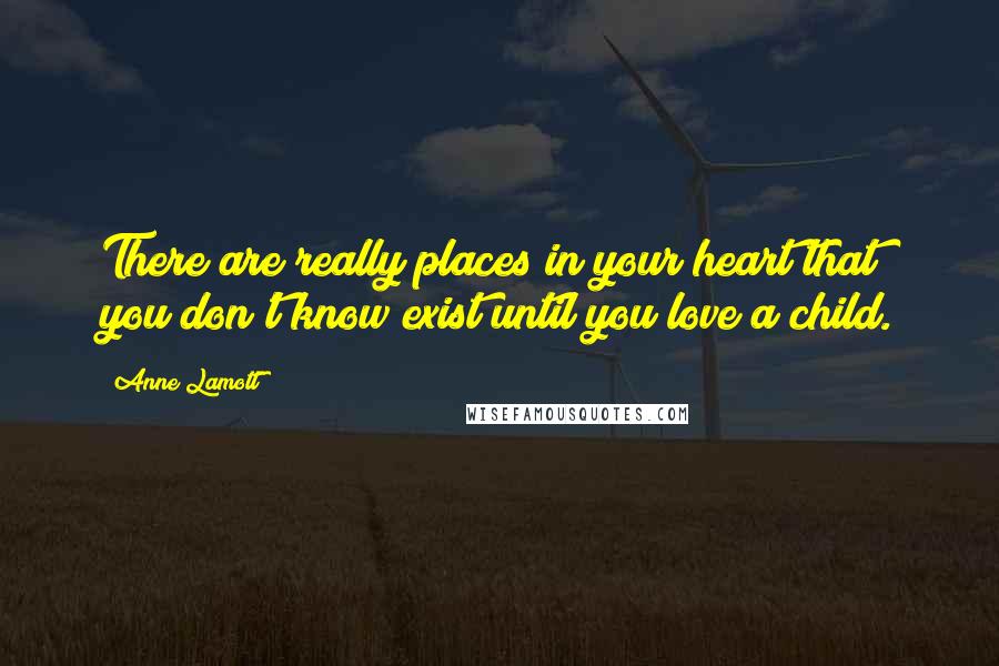 Anne Lamott Quotes: There are really places in your heart that you don't know exist until you love a child.