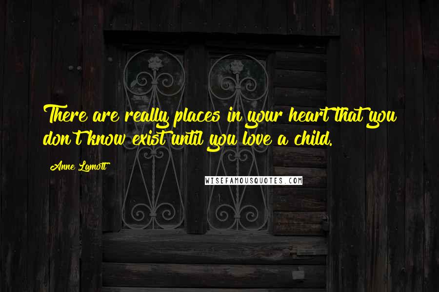 Anne Lamott Quotes: There are really places in your heart that you don't know exist until you love a child.