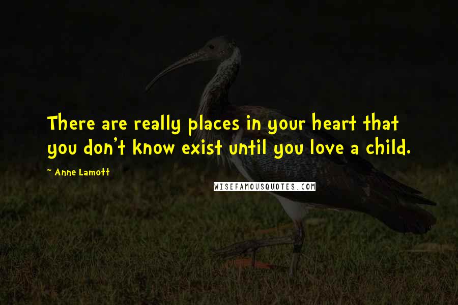 Anne Lamott Quotes: There are really places in your heart that you don't know exist until you love a child.