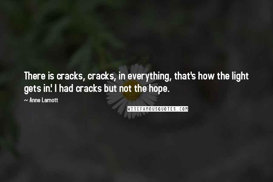 Anne Lamott Quotes: There is cracks, cracks, in everything, that's how the light gets in.' I had cracks but not the hope.