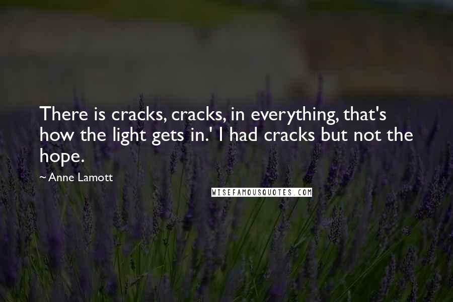 Anne Lamott Quotes: There is cracks, cracks, in everything, that's how the light gets in.' I had cracks but not the hope.