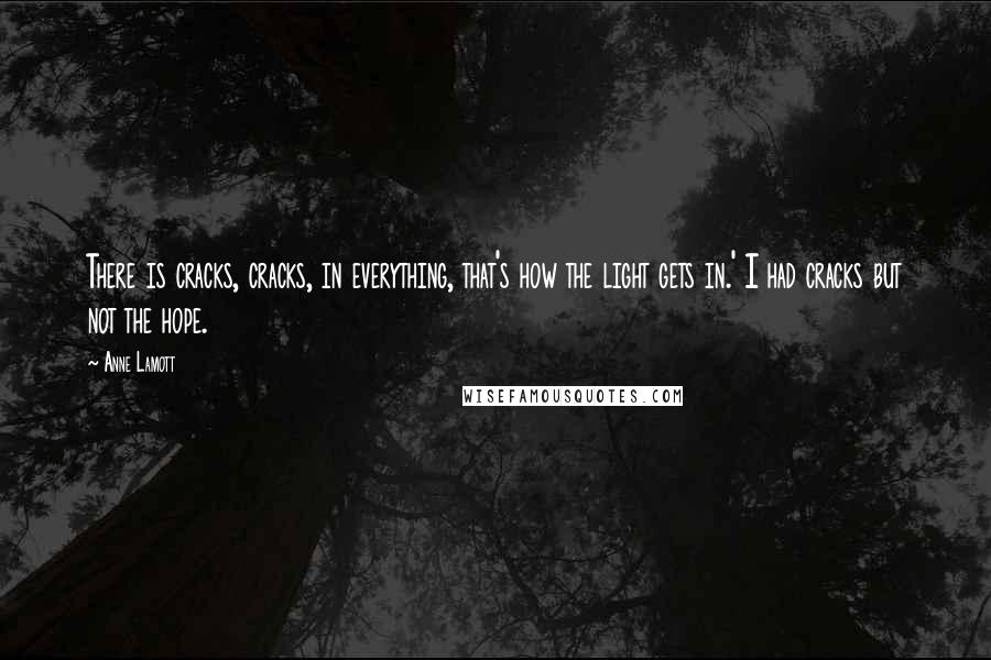 Anne Lamott Quotes: There is cracks, cracks, in everything, that's how the light gets in.' I had cracks but not the hope.