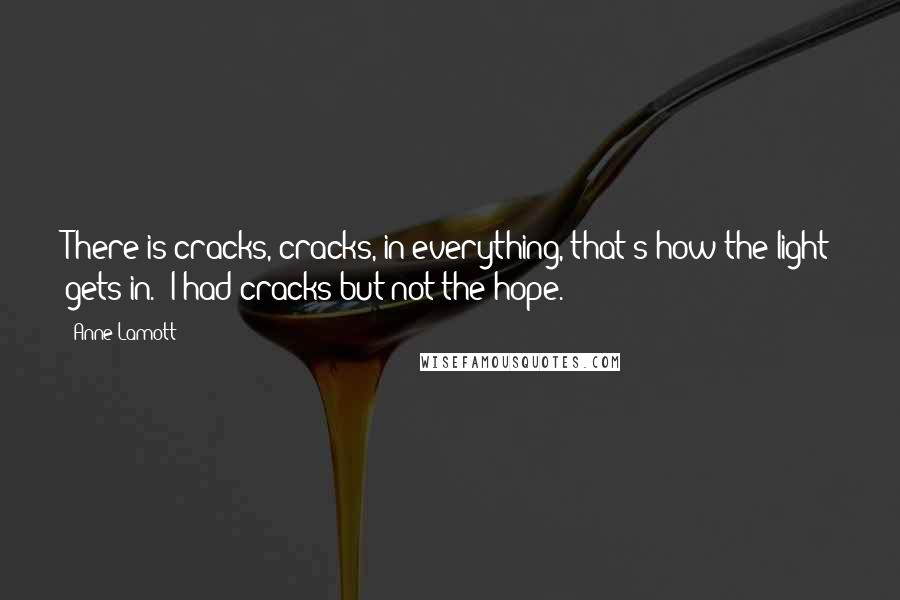 Anne Lamott Quotes: There is cracks, cracks, in everything, that's how the light gets in.' I had cracks but not the hope.