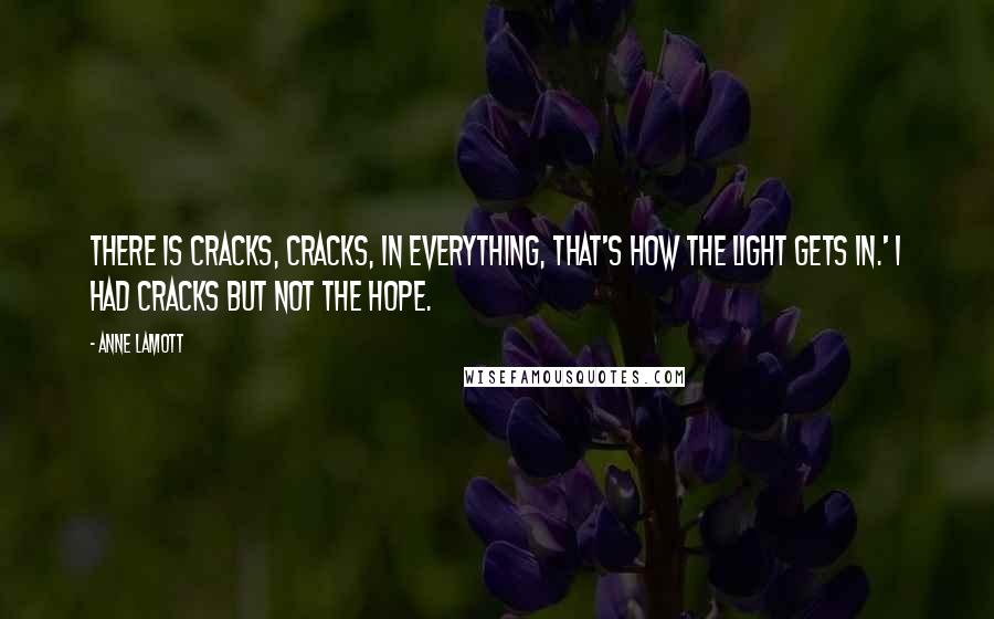 Anne Lamott Quotes: There is cracks, cracks, in everything, that's how the light gets in.' I had cracks but not the hope.