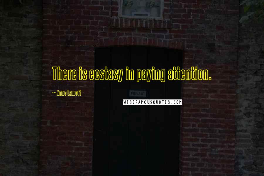 Anne Lamott Quotes: There is ecstasy in paying attention.