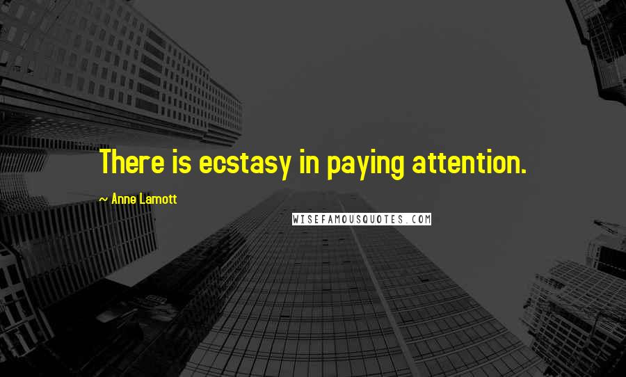 Anne Lamott Quotes: There is ecstasy in paying attention.