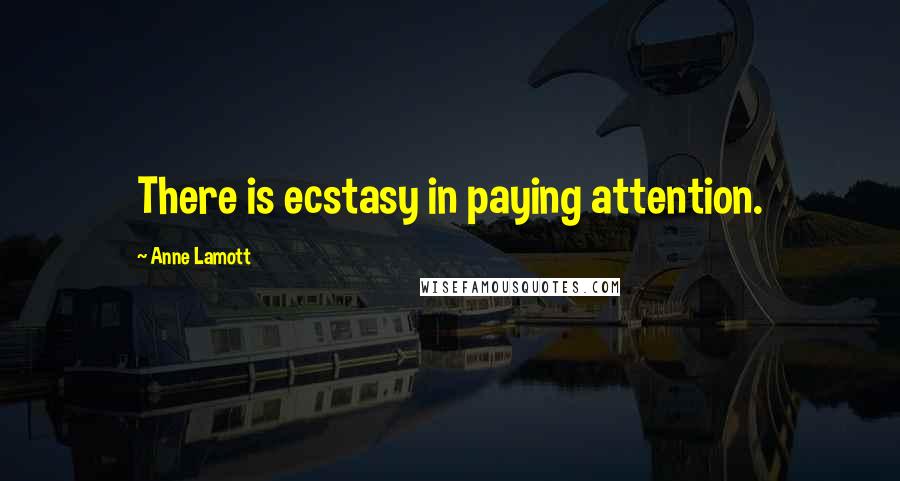 Anne Lamott Quotes: There is ecstasy in paying attention.