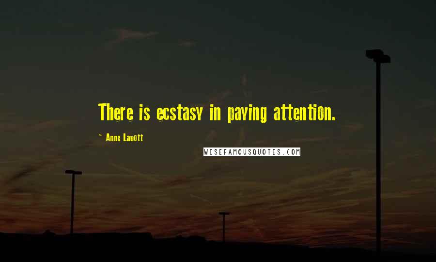 Anne Lamott Quotes: There is ecstasy in paying attention.