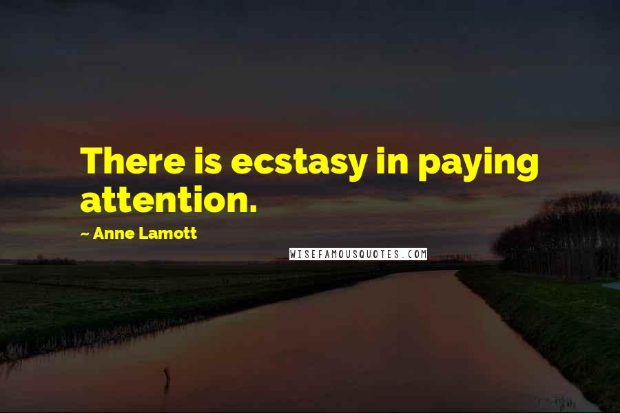 Anne Lamott Quotes: There is ecstasy in paying attention.