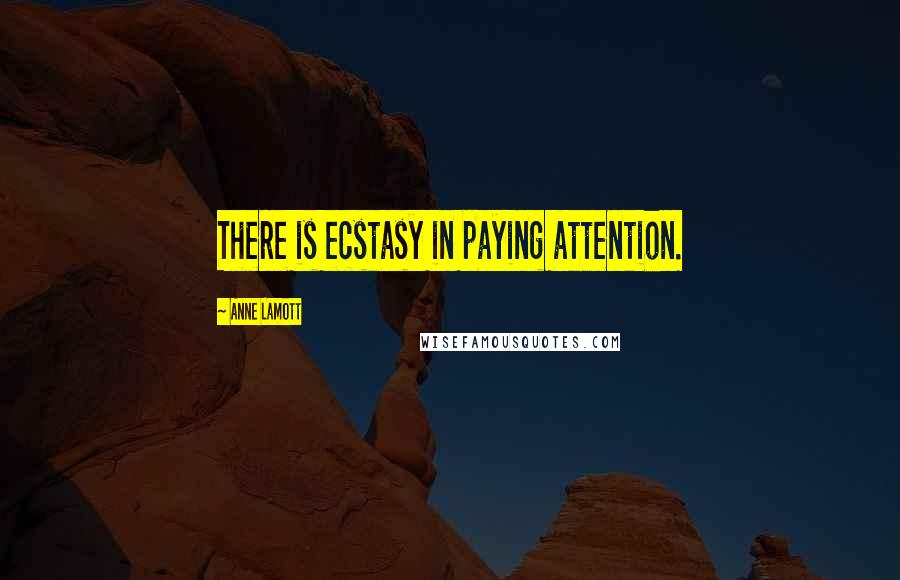 Anne Lamott Quotes: There is ecstasy in paying attention.