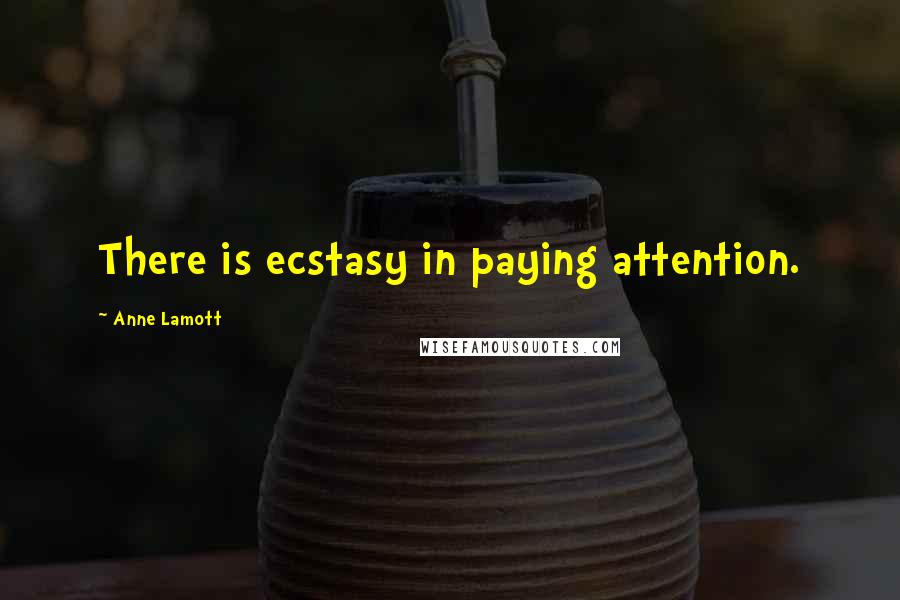 Anne Lamott Quotes: There is ecstasy in paying attention.