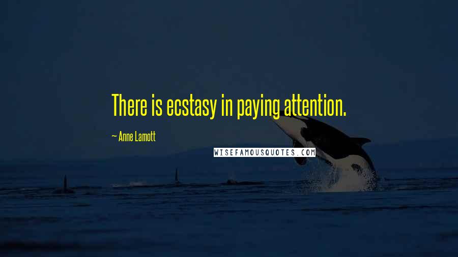 Anne Lamott Quotes: There is ecstasy in paying attention.