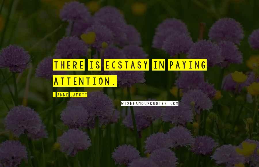 Anne Lamott Quotes: There is ecstasy in paying attention.