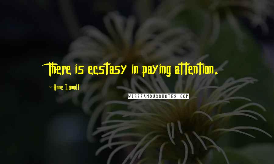Anne Lamott Quotes: There is ecstasy in paying attention.