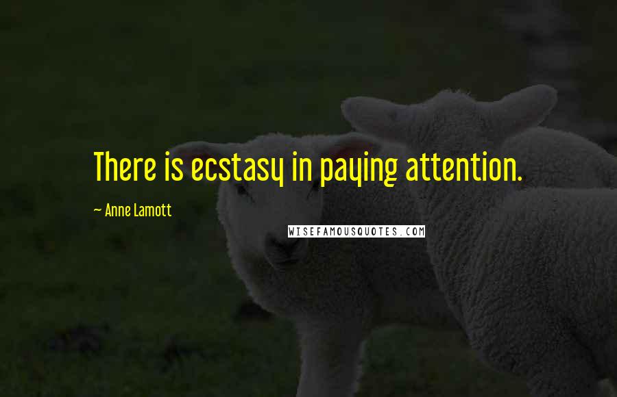 Anne Lamott Quotes: There is ecstasy in paying attention.