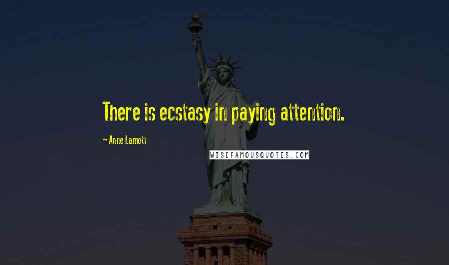 Anne Lamott Quotes: There is ecstasy in paying attention.